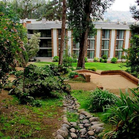 Hotel Bosque De Renaca 比尼亚德尔马 外观 照片