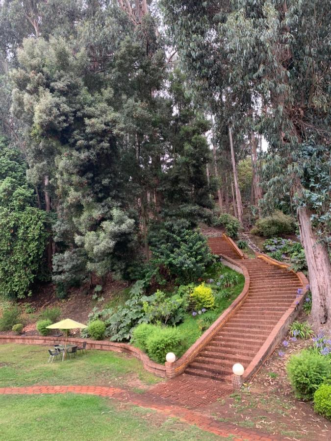 Hotel Bosque De Renaca 比尼亚德尔马 外观 照片