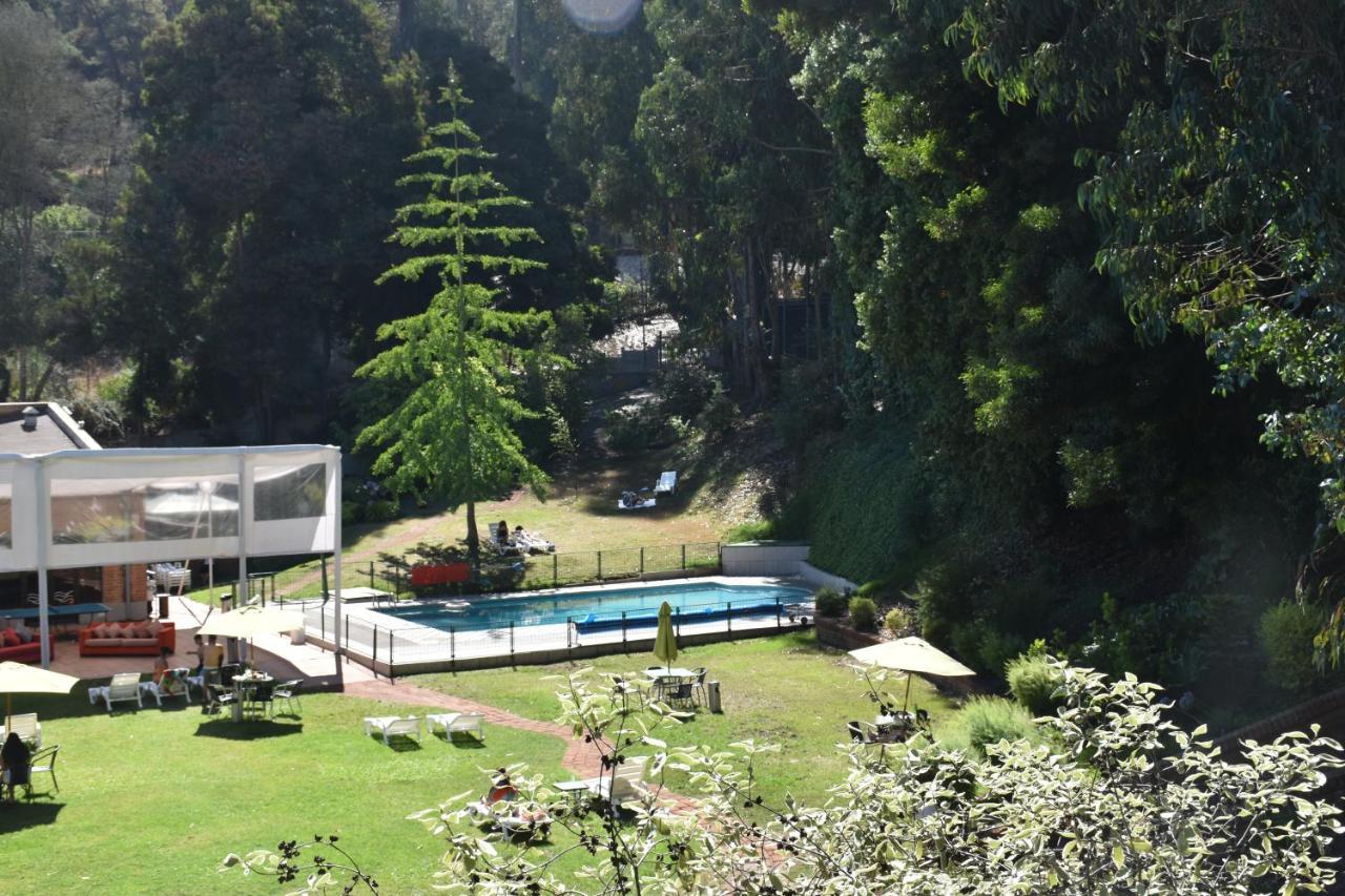 Hotel Bosque De Renaca 比尼亚德尔马 外观 照片
