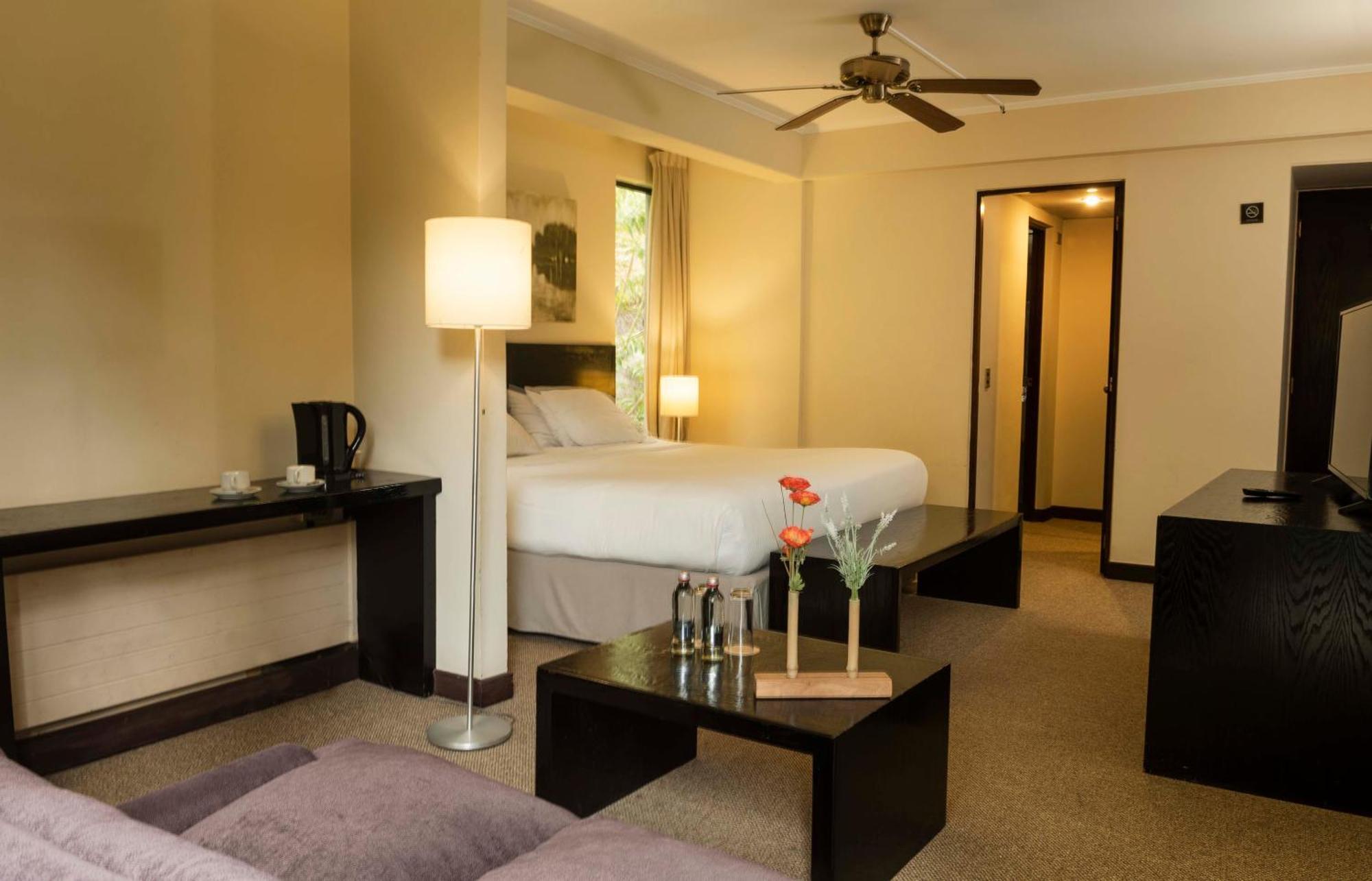 Hotel Bosque De Renaca 比尼亚德尔马 外观 照片