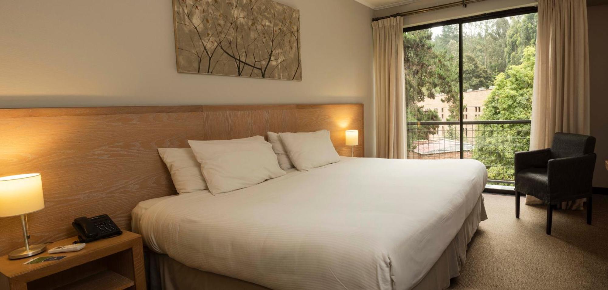 Hotel Bosque De Renaca 比尼亚德尔马 外观 照片