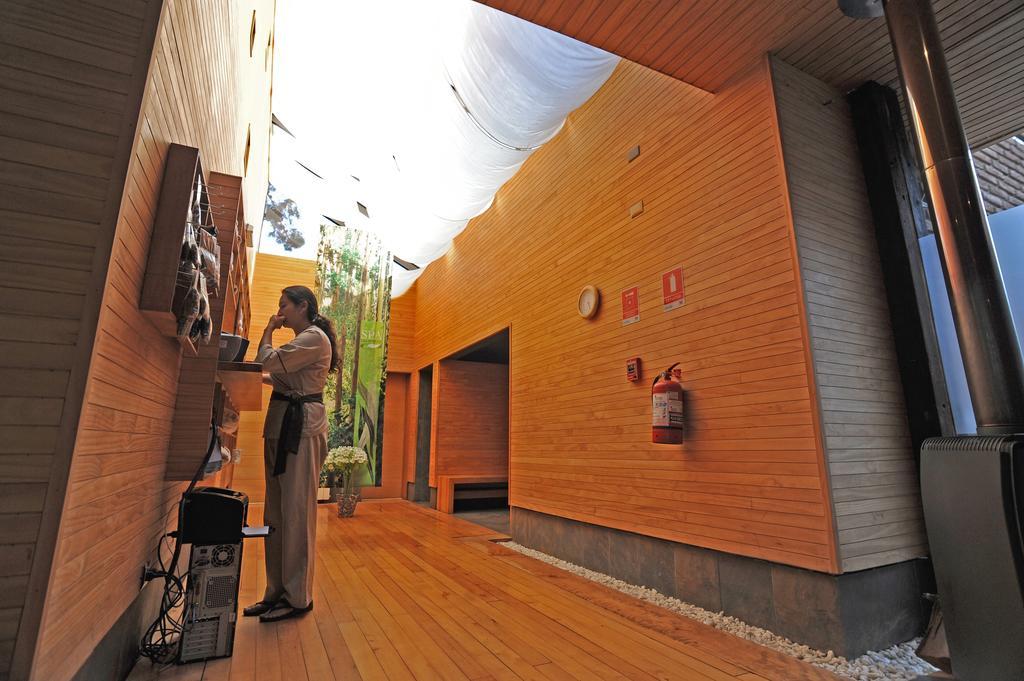 Hotel Bosque De Renaca 比尼亚德尔马 外观 照片
