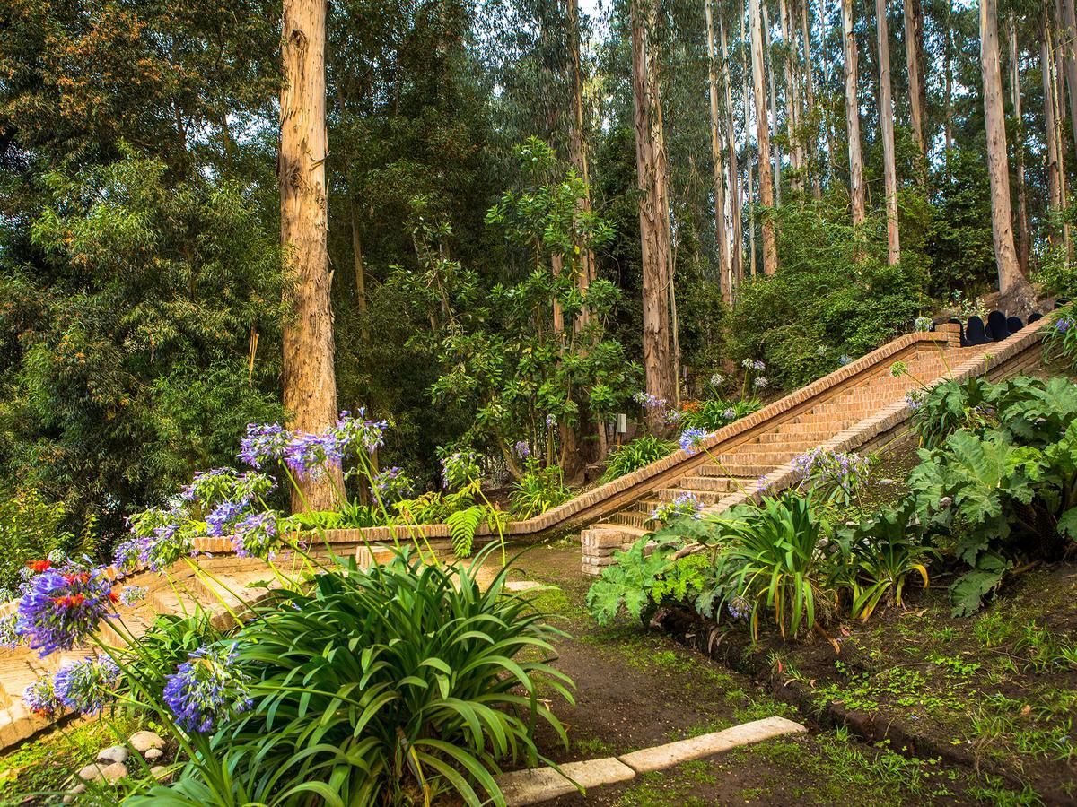 Hotel Bosque De Renaca 比尼亚德尔马 外观 照片