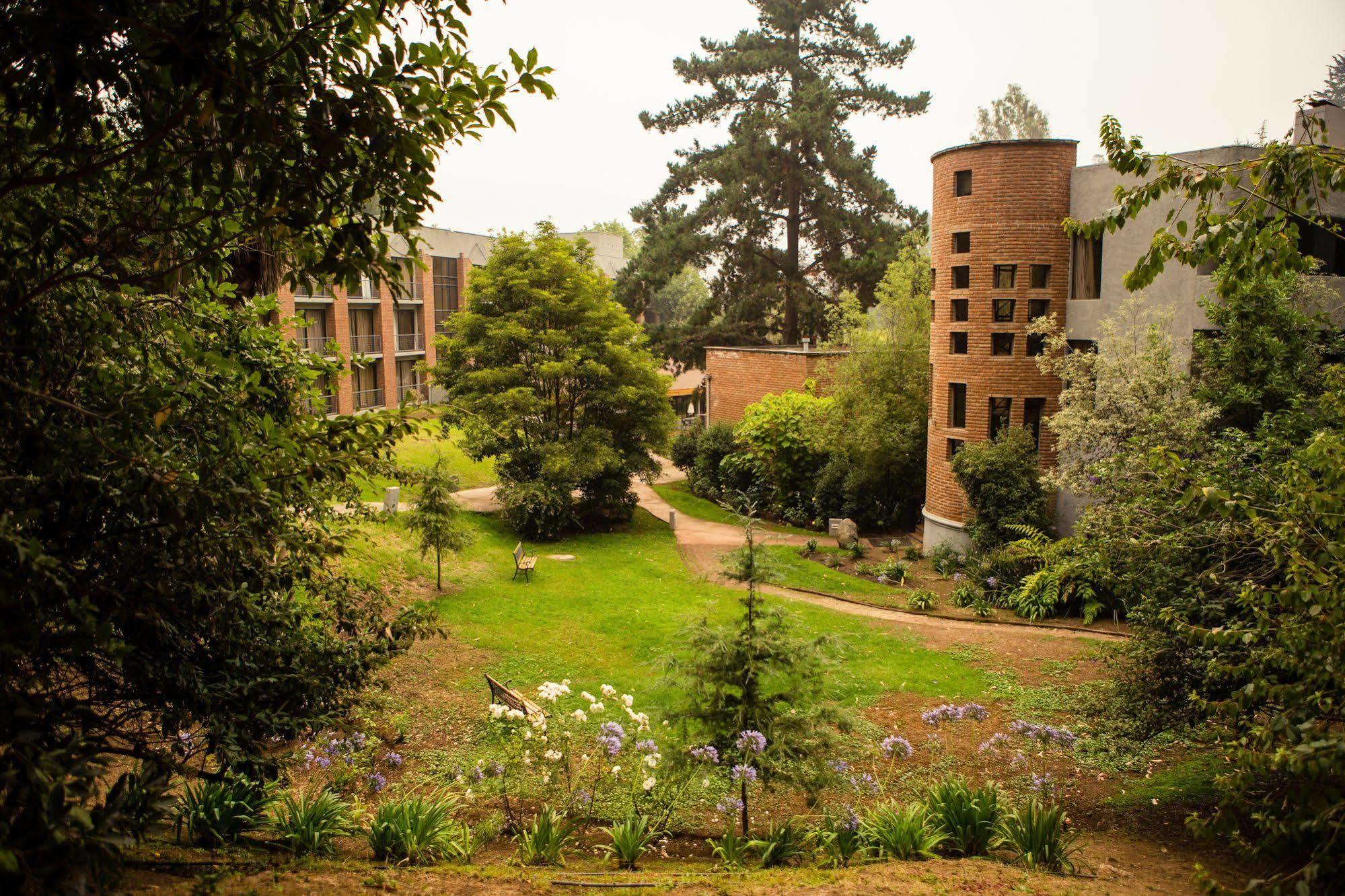 Hotel Bosque De Renaca 比尼亚德尔马 外观 照片