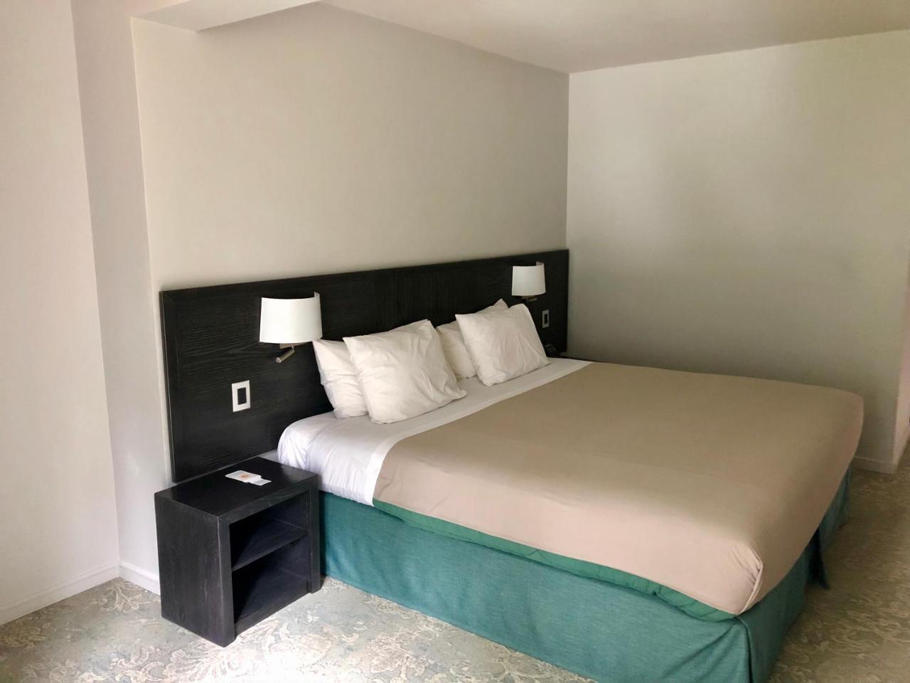 Hotel Bosque De Renaca 比尼亚德尔马 外观 照片