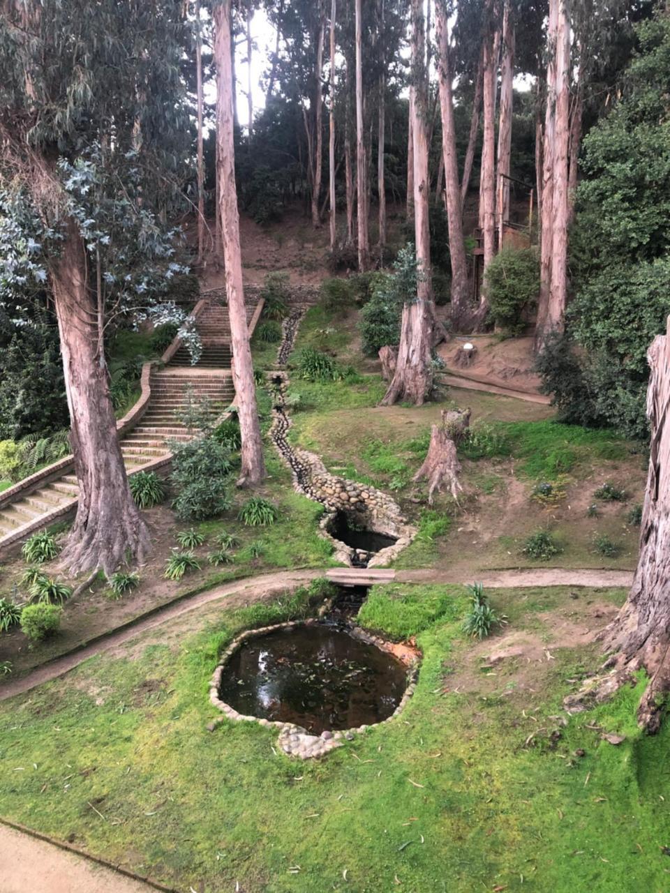 Hotel Bosque De Renaca 比尼亚德尔马 外观 照片