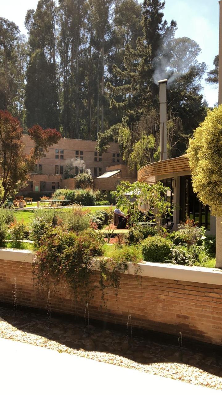 Hotel Bosque De Renaca 比尼亚德尔马 外观 照片