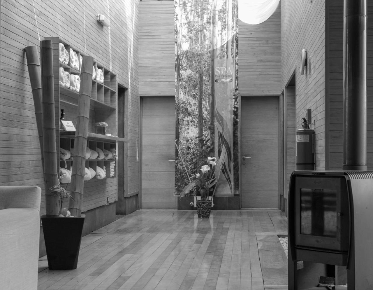 Hotel Bosque De Renaca 比尼亚德尔马 外观 照片