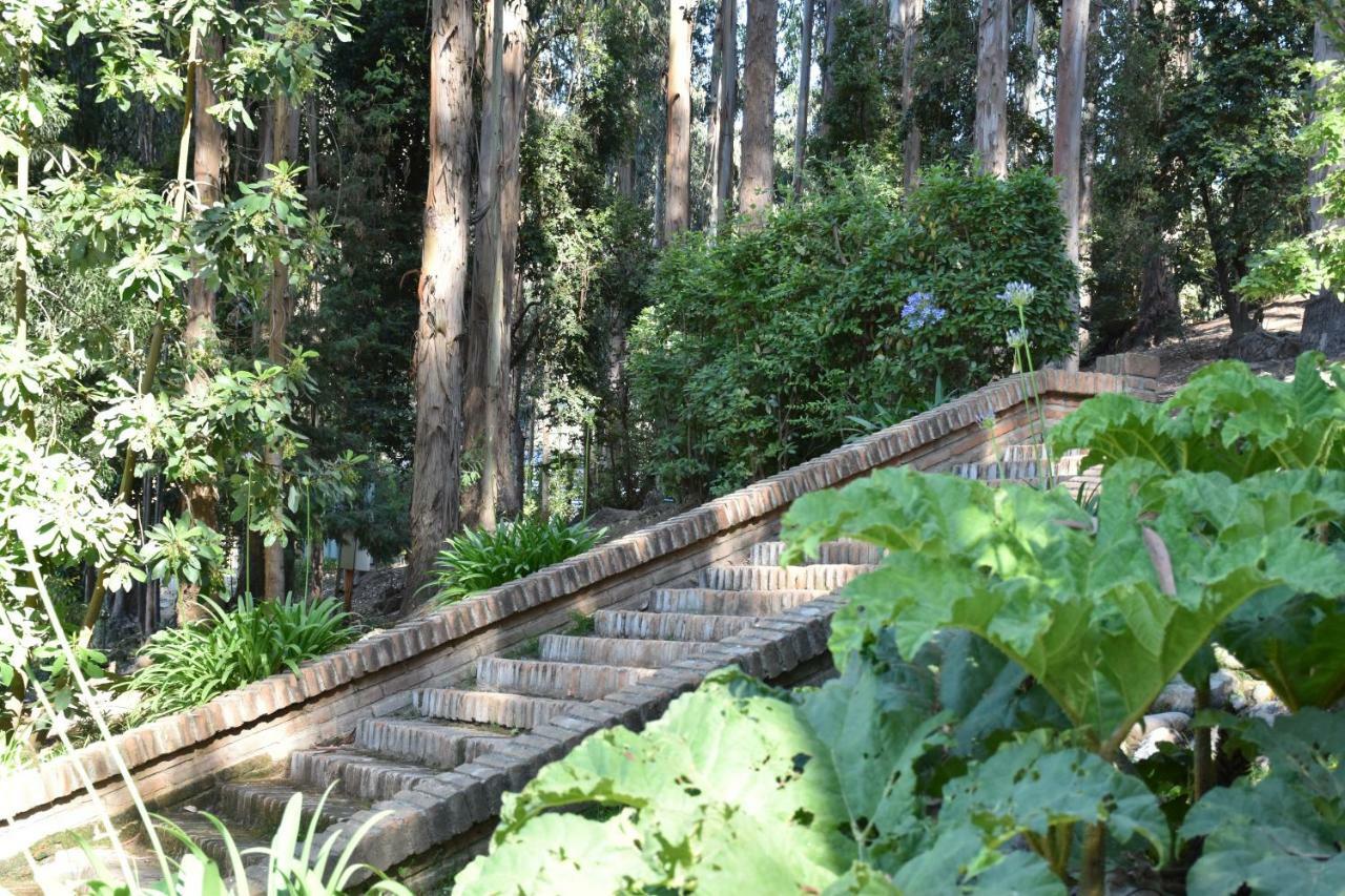 Hotel Bosque De Renaca 比尼亚德尔马 外观 照片