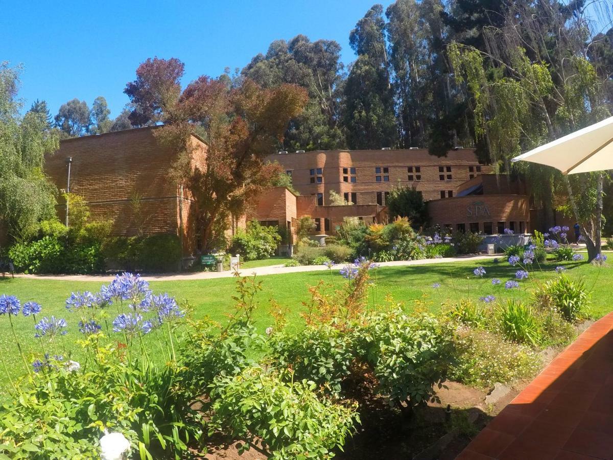 Hotel Bosque De Renaca 比尼亚德尔马 外观 照片