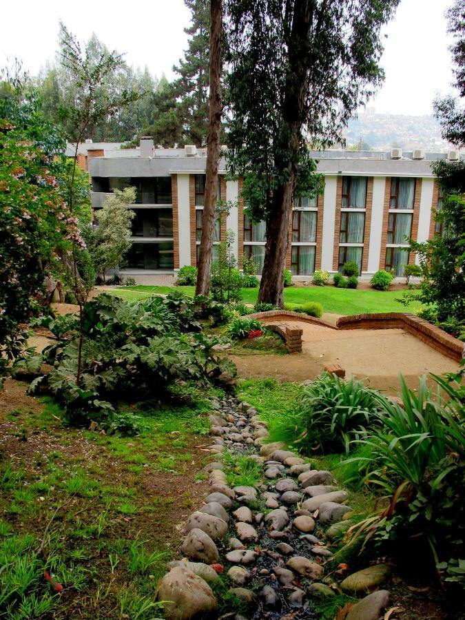 Hotel Bosque De Renaca 比尼亚德尔马 外观 照片