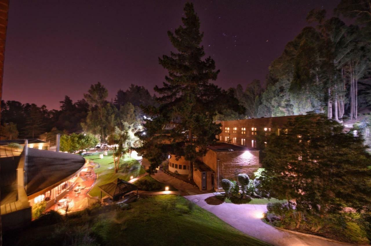 Hotel Bosque De Renaca 比尼亚德尔马 外观 照片