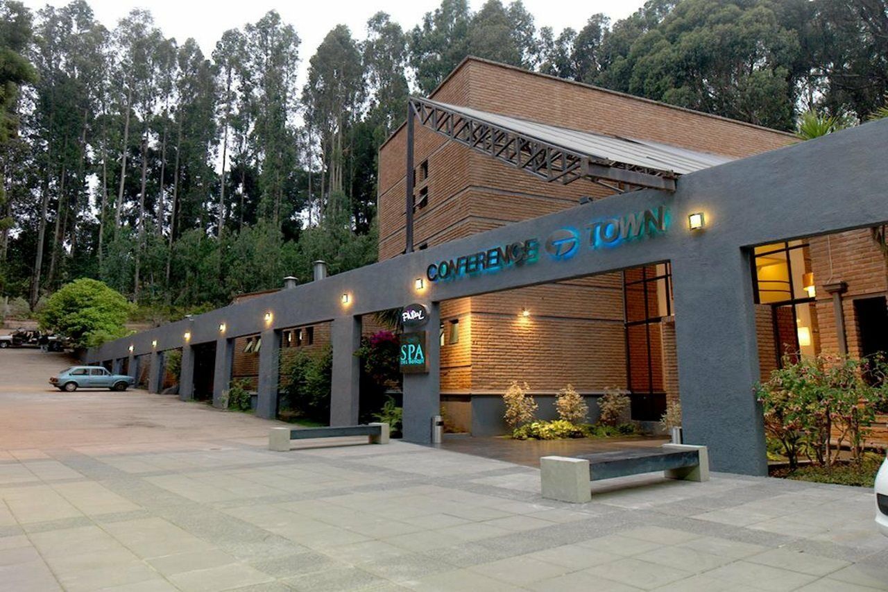 Hotel Bosque De Renaca 比尼亚德尔马 外观 照片